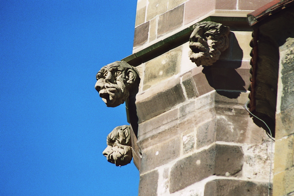 Photo6