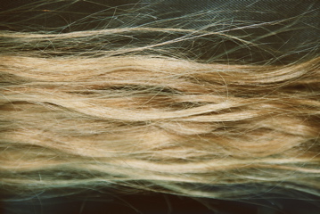 Photo4