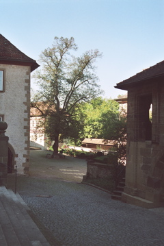 Photo6
