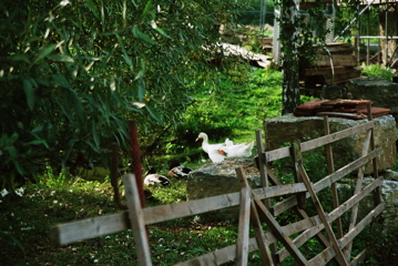 Photo2