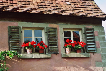 Photo4