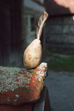 Photo7